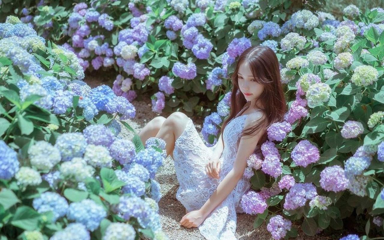 香港特区第八届立法会选举将设立约600个一般投票站